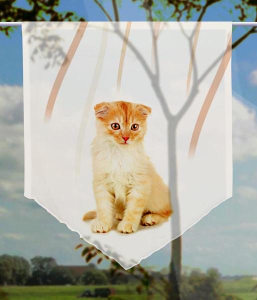 Tiger vertic Katzenbaby, Scheibenhänger spitz